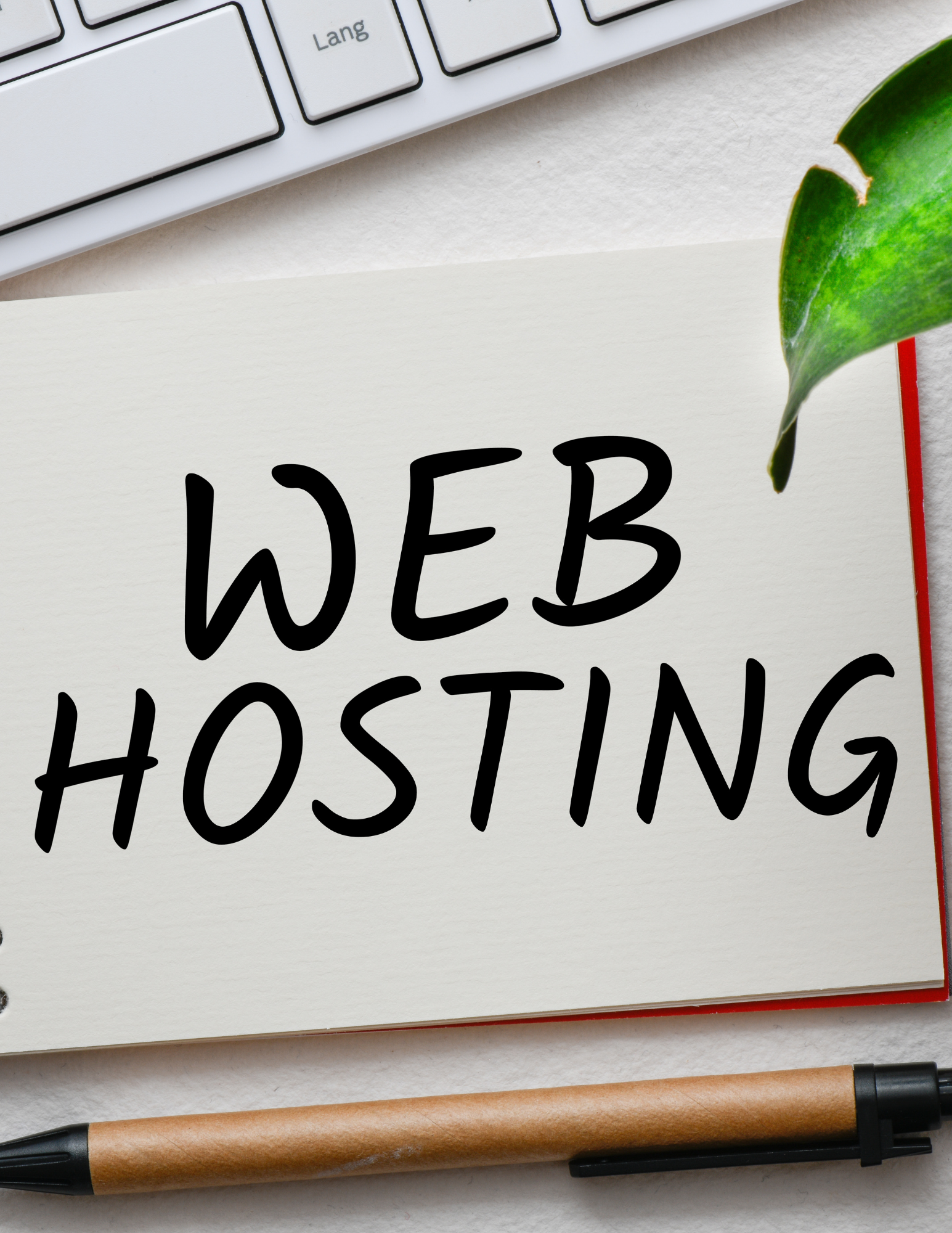 The Basics of Web Hosting